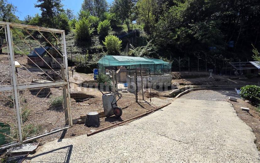 Terratetto plurifamiliare Località Cavorsi 2, Cavorsi, Torriglia — foto 18 di 109