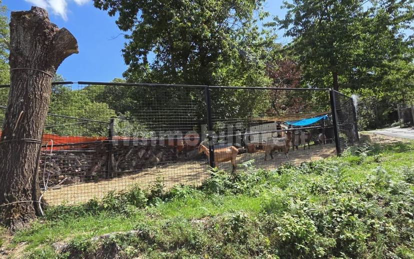 Terratetto plurifamiliare Località Cavorsi 2, Cavorsi, Torriglia — foto 104 di 109
