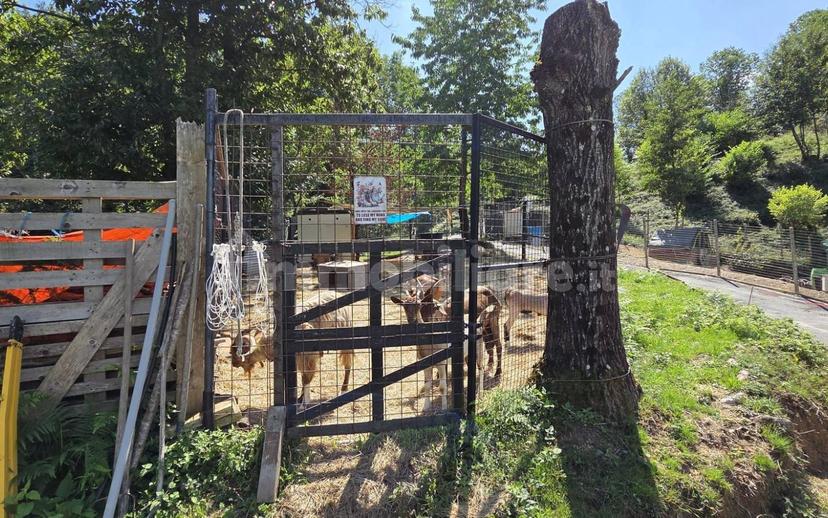 Terratetto plurifamiliare Località Cavorsi 2, Cavorsi, Torriglia — foto 23 di 109