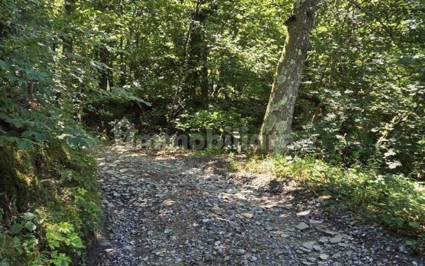Terratetto plurifamiliare Località Cavorsi 2, Cavorsi, Torriglia — foto 42 di 109