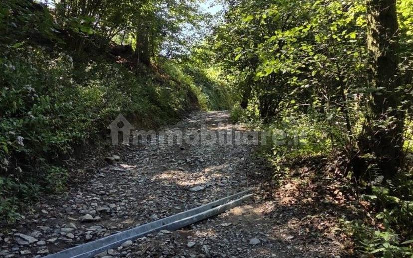 Terratetto plurifamiliare Località Cavorsi 2, Cavorsi, Torriglia — foto 67 di 109