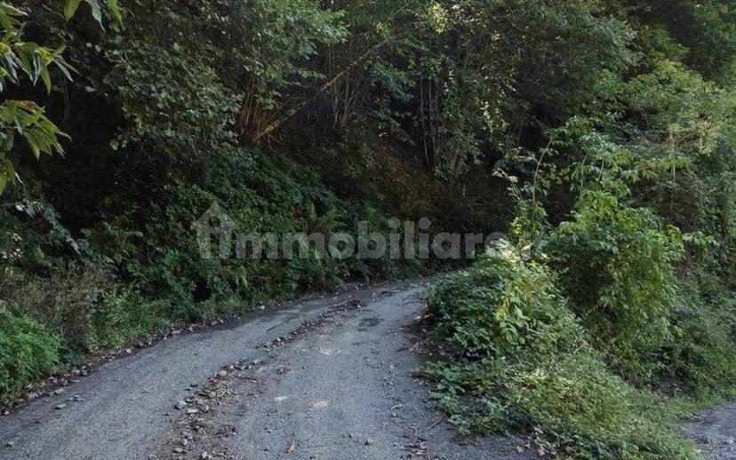 Terratetto plurifamiliare Località Cavorsi 2, Cavorsi, Torriglia — foto 75 di 109