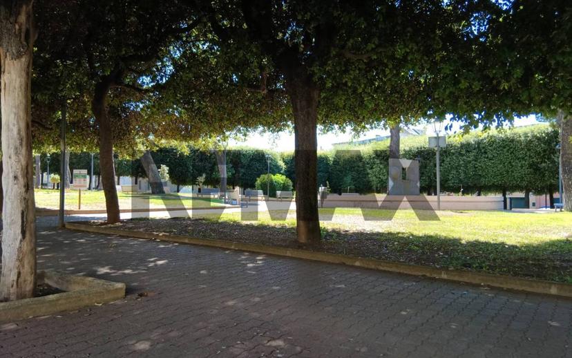Appartamento piazza Trieste 20, Adelfia — foto 10 di 10