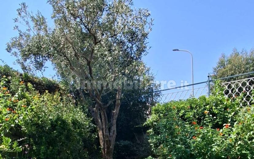 Trilocale via Magnone 46, Centro, Ceriale — foto 5 di 15