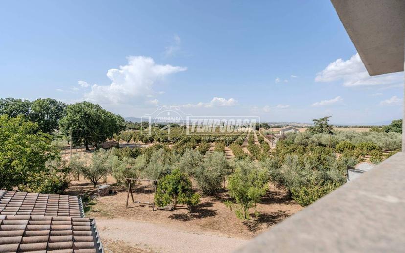 Villa unifamiliare Strada Teverina, Teverina, Viterbo — foto 16 di 64
