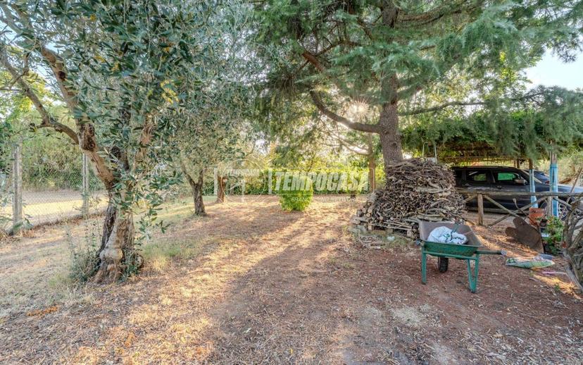 Villa unifamiliare Strada Teverina, Teverina, Viterbo — foto 50 di 64