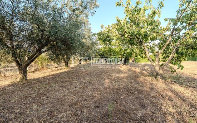 Villa unifamiliare Strada Teverina, Teverina, Viterbo — foto 58 di 64