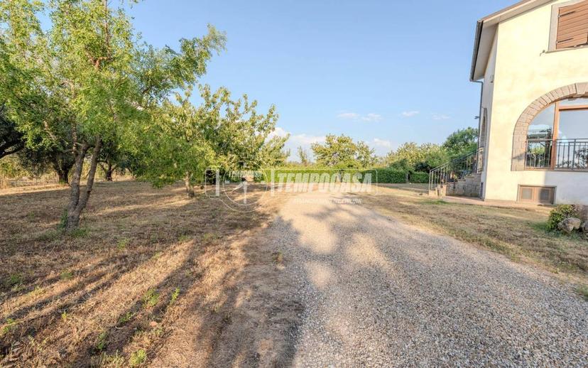 Villa unifamiliare Strada Teverina, Teverina, Viterbo — foto 36 di 64