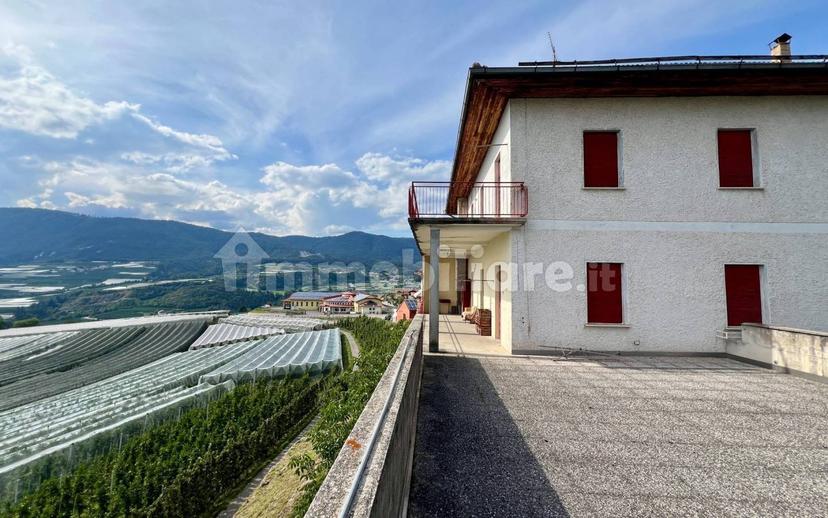 Villa bifamiliare via 4 Novembre 61, Borgo d'Anaunia — foto 5 di 14