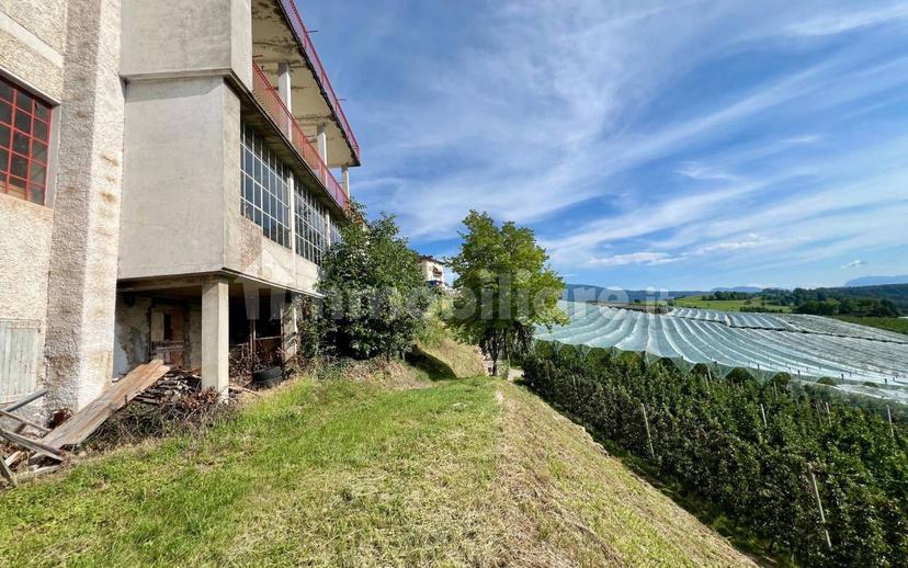 Villa bifamiliare via 4 Novembre 61, Borgo d'Anaunia — foto 6 di 14