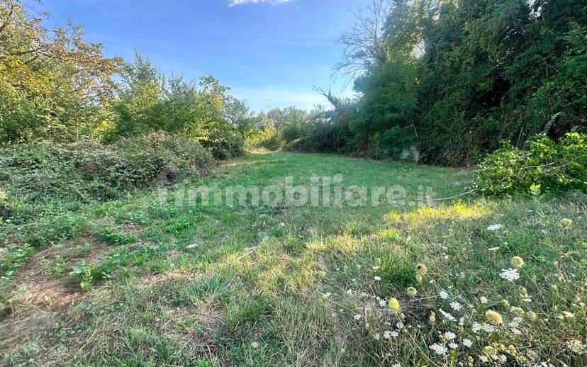 Casale via Principe di Piemonte, Centro, Colli sul Velino — foto 12 di 12