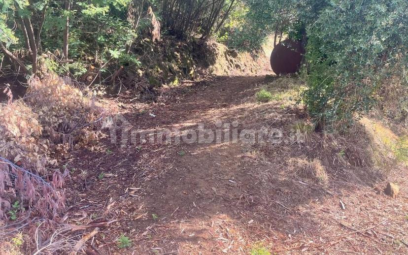 Rustico, da ristrutturare, 180 m², Margine Coperta Traversagna, Massa e Cozzile — foto 20 di 36