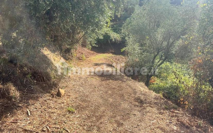 Rustico, da ristrutturare, 180 m², Margine Coperta Traversagna, Massa e Cozzile — foto 31 di 36
