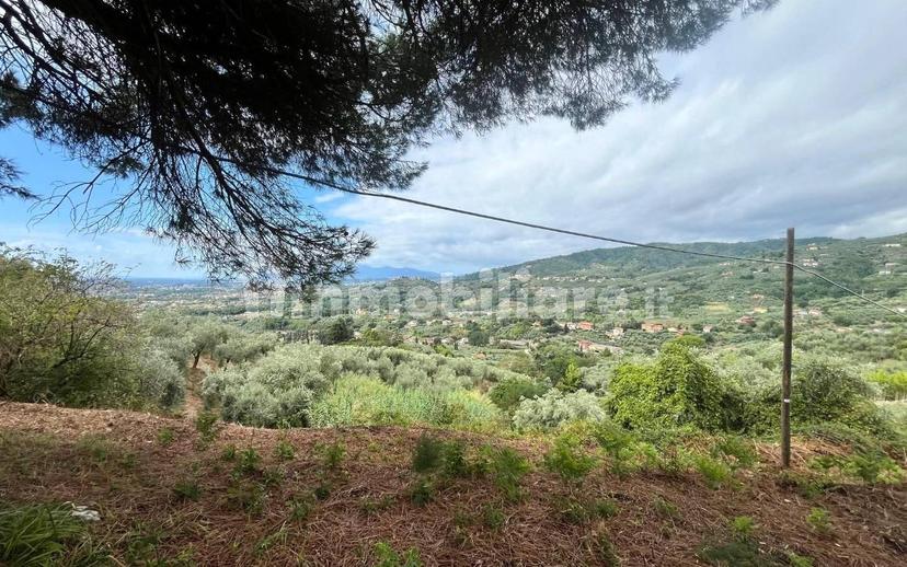 Rustico, da ristrutturare, 180 m², Margine Coperta Traversagna, Massa e Cozzile — foto 16 di 36