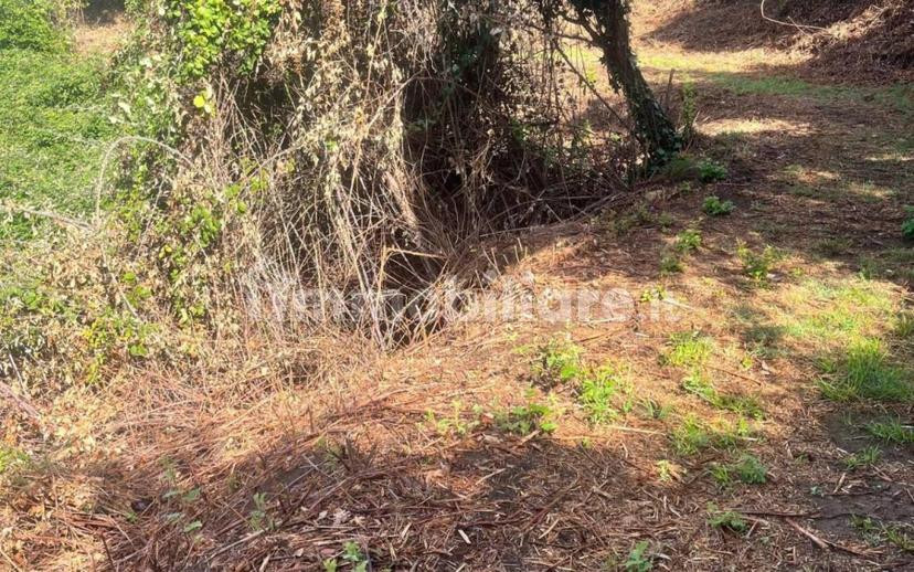 Rustico, da ristrutturare, 180 m², Margine Coperta Traversagna, Massa e Cozzile — foto 32 di 36