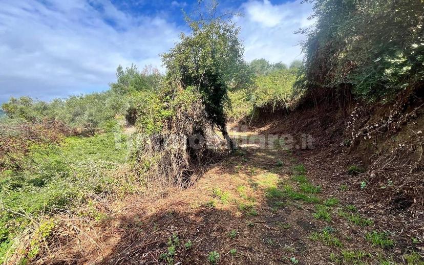 Rustico, da ristrutturare, 180 m², Margine Coperta Traversagna, Massa e Cozzile — foto 8 di 36