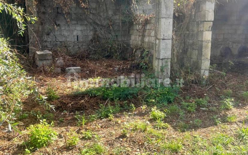 Rustico, da ristrutturare, 180 m², Margine Coperta Traversagna, Massa e Cozzile — foto 14 di 36