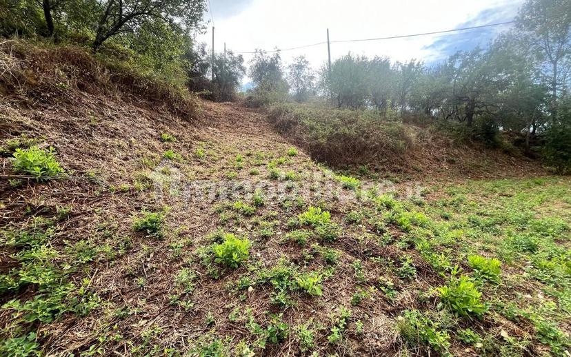 Rustico, da ristrutturare, 180 m², Margine Coperta Traversagna, Massa e Cozzile — foto 11 di 36