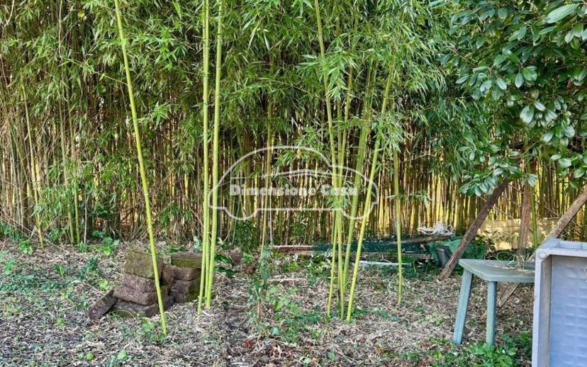 Terratetto unifamiliare Vh 82, Lammari - Lunata, Capannori — foto 9 di 43