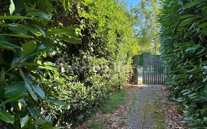 Villa a schiera 3 locali, buono stato, Punta Del Lago, Ronciglione — foto 19 di 22