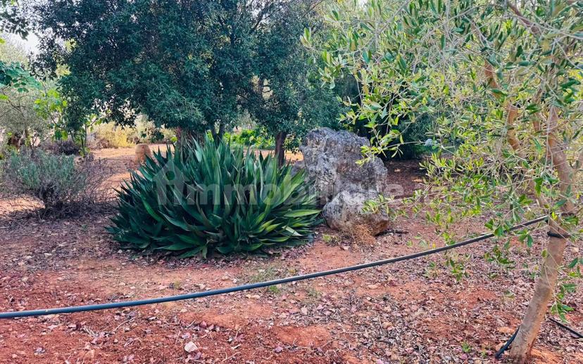 Villa unifamiliare via Solano Li Belli 45, Lequile — foto 25 di 47