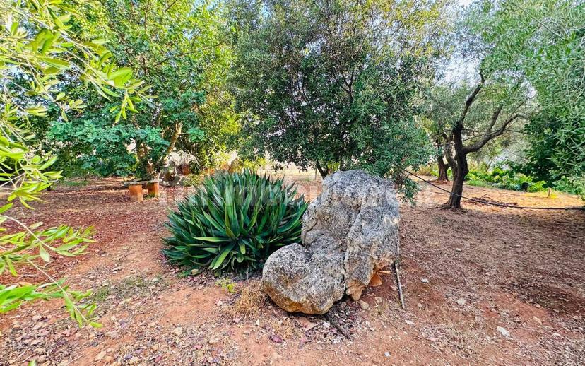 Villa unifamiliare via Solano Li Belli 45, Lequile — foto 28 di 47