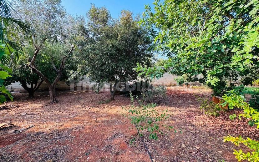 Villa unifamiliare via Solano Li Belli 45, Lequile — foto 41 di 47