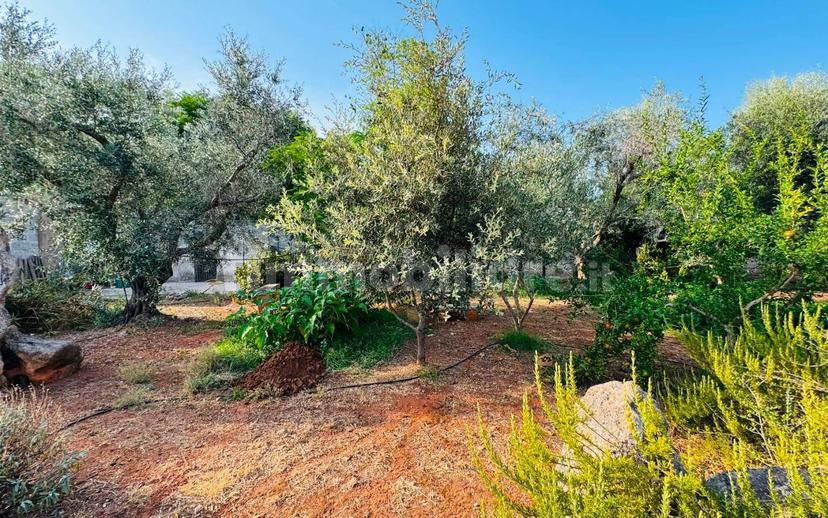 Villa unifamiliare via Solano Li Belli 45, Lequile — foto 9 di 47
