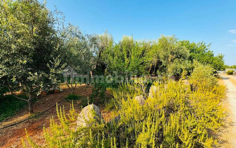 Villa unifamiliare via Solano Li Belli 45, Lequile