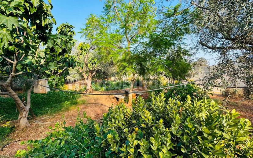 Villa unifamiliare via Solano Li Belli 45, Lequile — foto 20 di 47