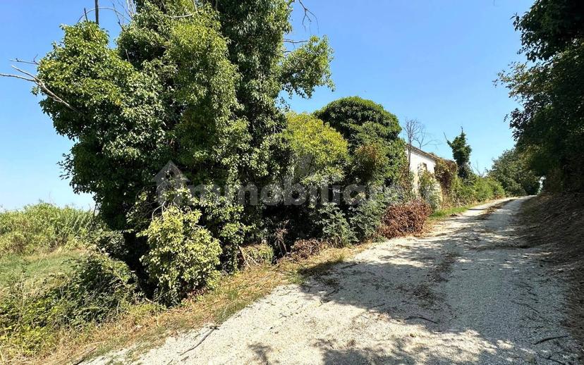 Casa colonica via Montagnolo 2, Camerano — foto 4 di 17