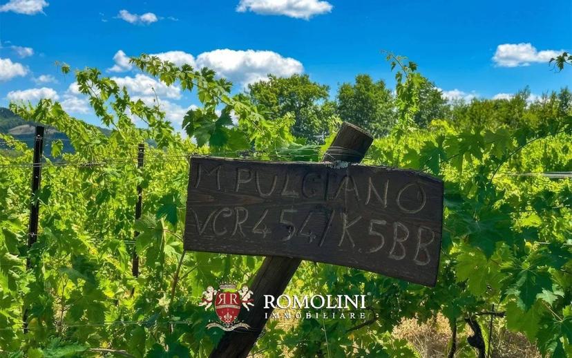 Villa unifamiliare, buono stato, 690 m², Centro, Rocca Sinibalda