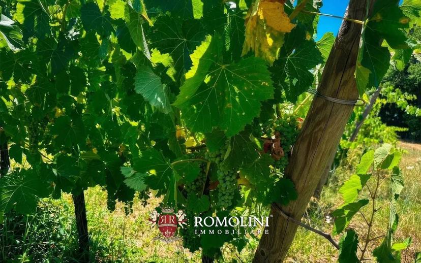 Villa unifamiliare, buono stato, 690 m², Centro, Rocca Sinibalda — foto 15 di 42