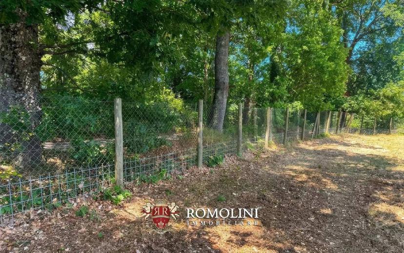 Villa unifamiliare, buono stato, 690 m², Centro, Rocca Sinibalda — foto 13 di 42