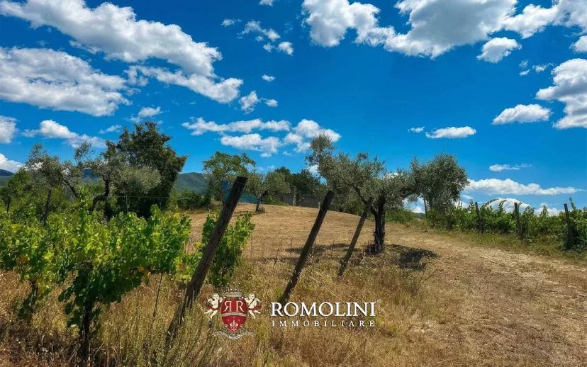 Villa unifamiliare, buono stato, 690 m², Centro, Rocca Sinibalda — foto 39 di 42