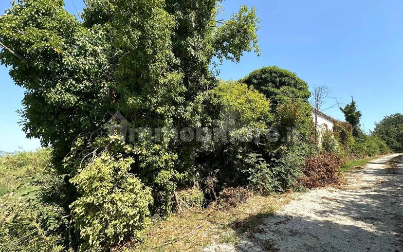 Casa colonica via Montagnolo 2, Camerano — foto 2 di 17