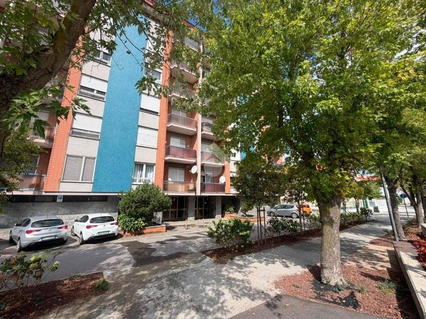 Quadrilocale viale po 64, Centro, Crescentino — foto 31 di 32