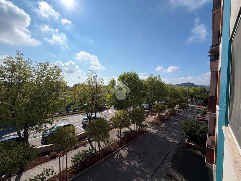 Quadrilocale viale po 64, Centro, Crescentino — foto 9 di 32