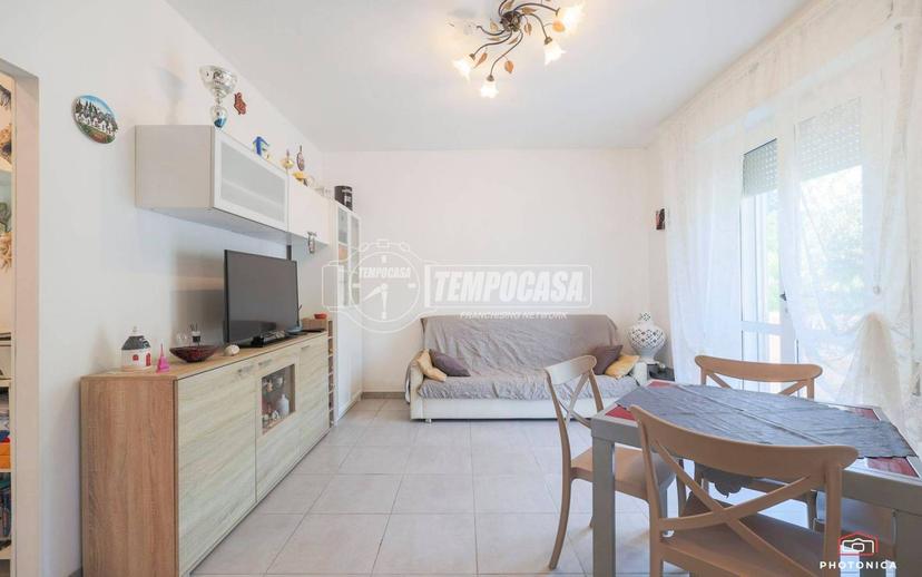 Quadrilocale via Palestrina, Santa Monica Cella, Misano Adriatico — foto 12 di 42