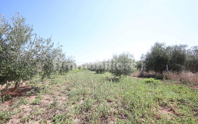 Villa unifamiliare via Aurelio Saliceti, San Giovanni, Roseto degli Abruzzi — foto 21 di 26