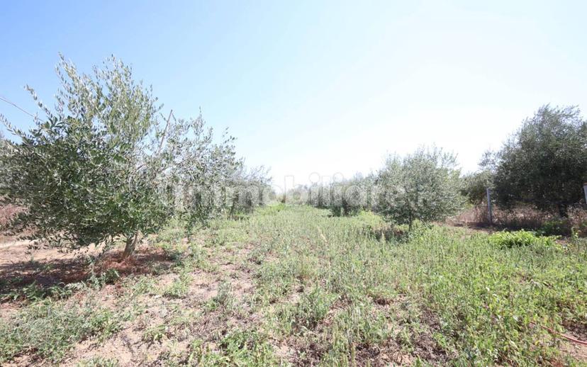 Villa unifamiliare via Aurelio Saliceti, San Giovanni, Roseto degli Abruzzi — foto 16 di 26