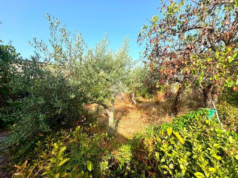 Villa bifamiliare Str. Piano Madonna, Altavilla Milicia — foto 11 di 27