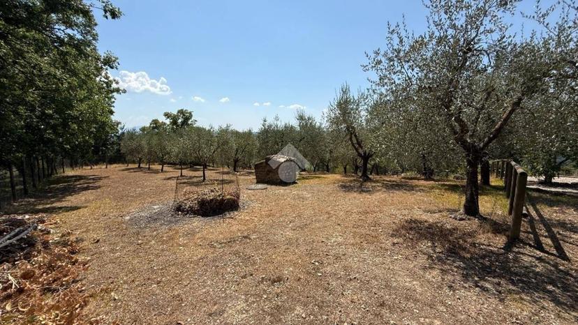 Villa unifamiliare via Poramaiolo 41, Baschi — foto 23 di 36
