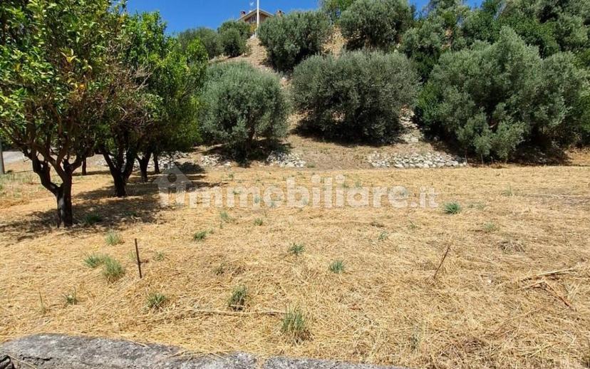 Villa unifamiliare Contrada Paradiso, Belvedere Marittimo — foto 2 di 36