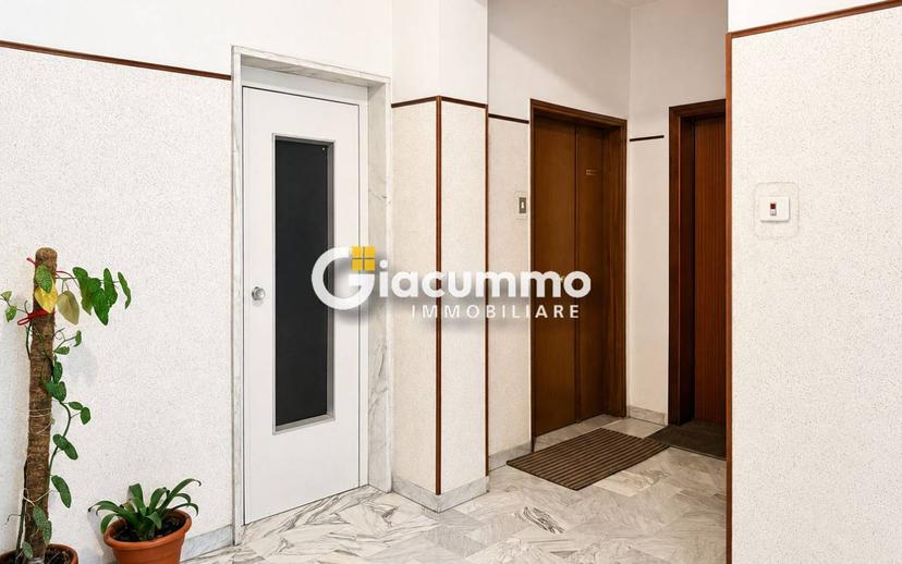Appartamento viale Guglielmo Marconi, Centro, Potenza — foto 20 di 28