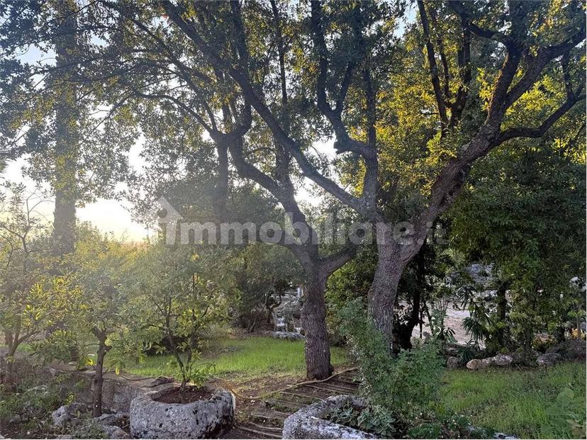 Villa unifamiliare Contrada Arsilio, Selva di Fasano, Laureto, Fasano — foto 13 di 42