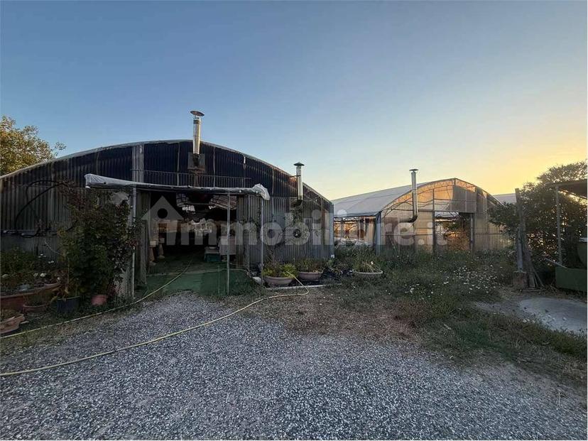 Rustico, buono stato, 280 m², Braccagni, Grosseto — foto 14 di 65