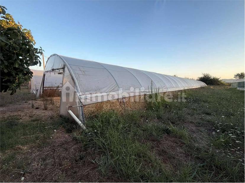 Rustico, buono stato, 280 m², Braccagni, Grosseto — foto 48 di 65