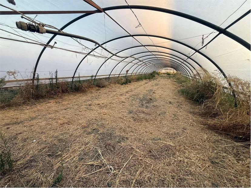 Rustico, buono stato, 280 m², Braccagni, Grosseto — foto 52 di 65