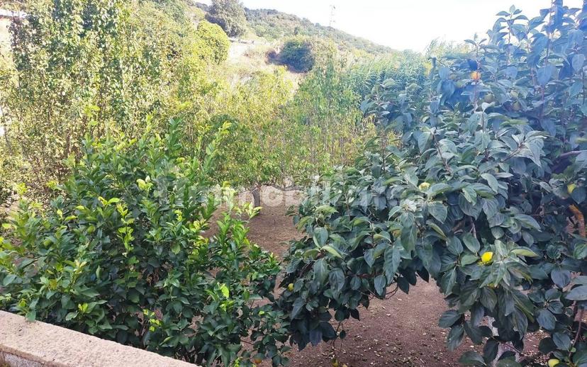 Villa unifamiliare Sp36, Nughedu San Nicolò — foto 6 di 6